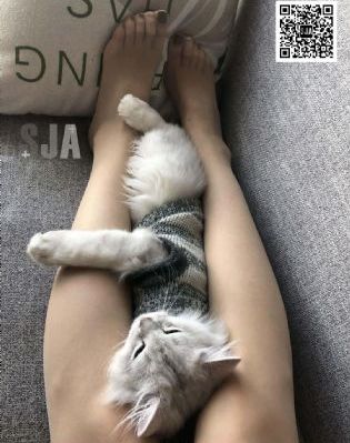 538精品在线视频_1080高清完整版